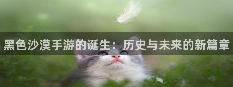 大神28分分预测