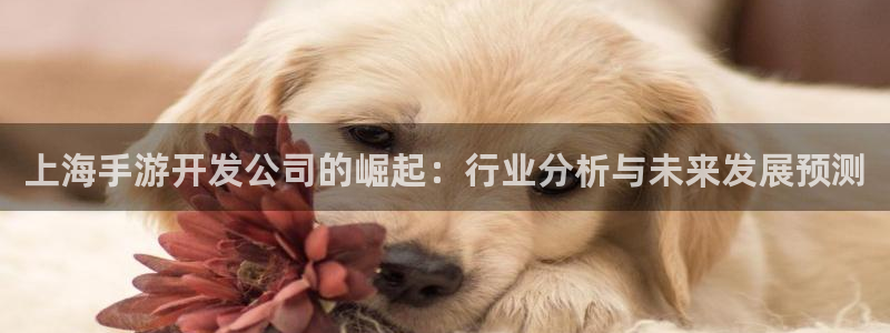 28大神吧论坛没了：上海手游开发公司的崛起：行业分析与未来发
