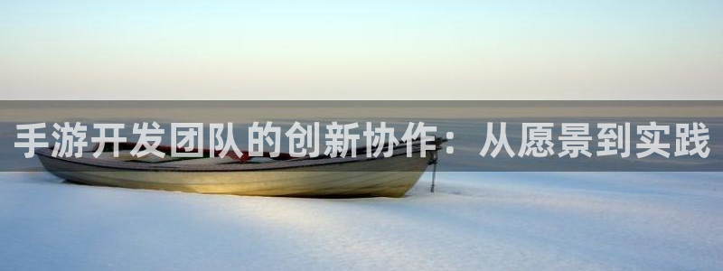 大神28开奖官网查询：手游开发团队的创新协作：从愿景到实践