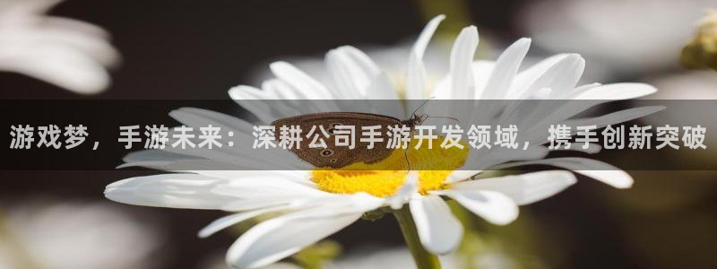 大神pc28在线预测：游戏梦，手游未来：深耕公司手游开发领域