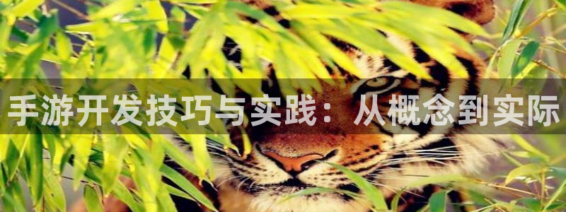 28大神算法公式：手游开发技巧与实践：从概念到实际