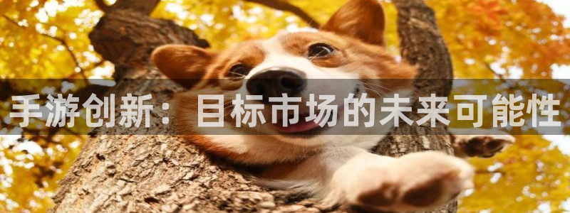 28大神2020：手游创新：目标市场的未来可能性
