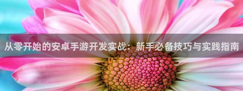 28大神预测：从零开始的安卓手游开发实战：新手必备技巧与实践