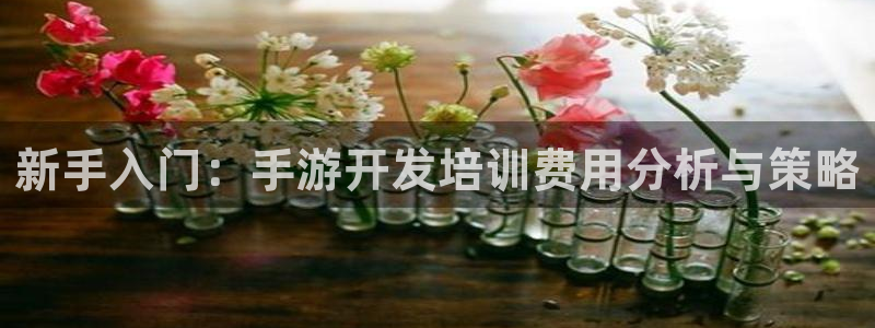 28大神专业版下载地址