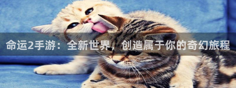 大神28开奖官网下载：命运2手游：全新世界，创造属于你的奇幻