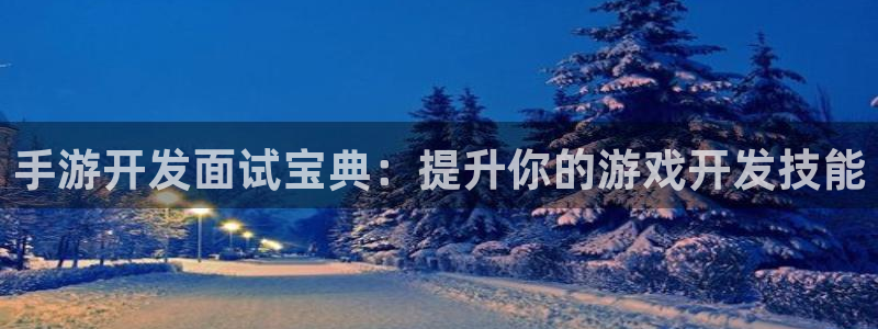 大神pc28在线预测网页：手游开发面试宝典：提升你的游戏开发