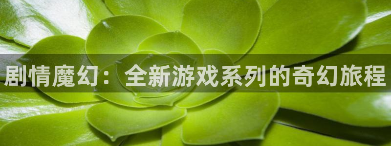 28大神预测神测网：剧情魔幻：全新游戏系列的奇幻旅程