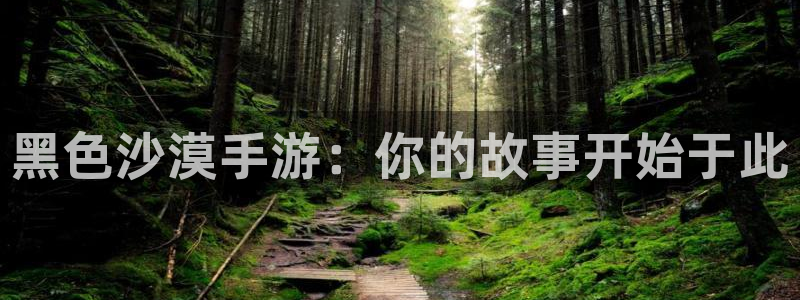 加拿大pc大神28预测：黑色沙漠手游：你的故事开始于此