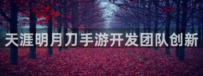 大神28官方网站：天涯明月刀手游开发团队创新